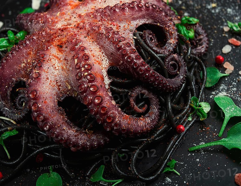 Octopus with black spaghetti, pasta, spices and herbs, top view, no people