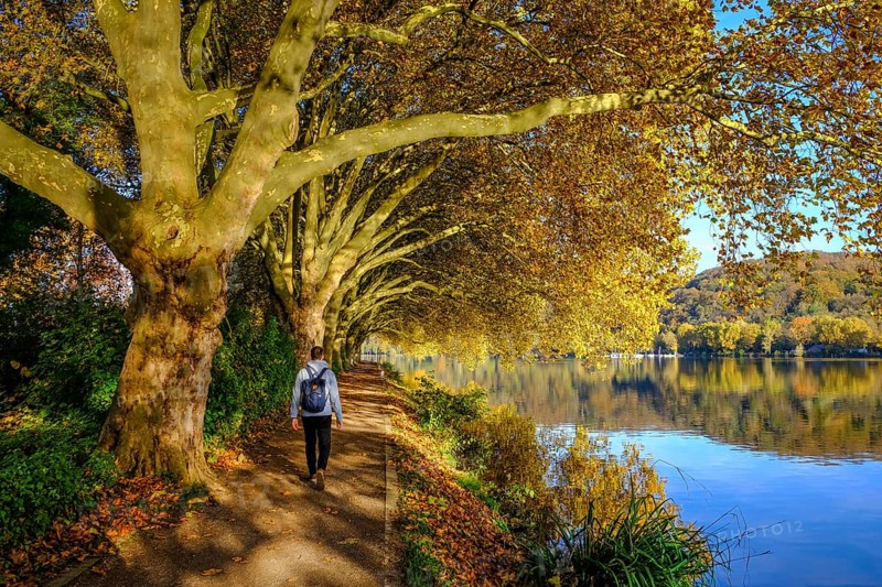 Essen, North Rhine-Westphalia, Germany - Golden autumn on Lake Baldeney
