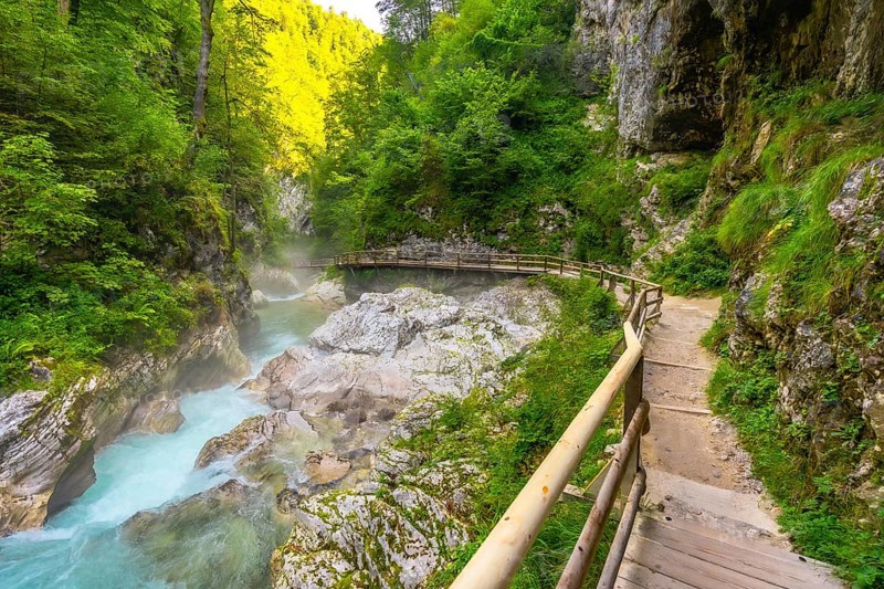 Scenic wooden walkway winding through the stunning vintgar gorge near bled, slovenia, offering breathtaking views of the radovna river