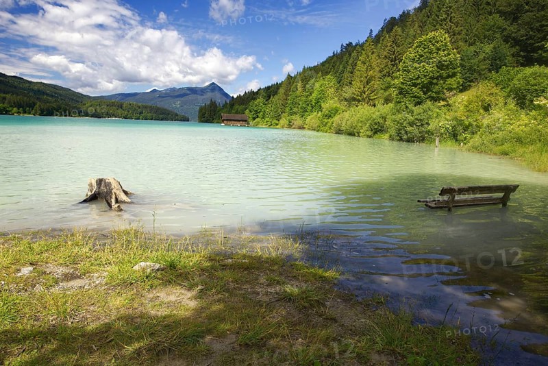 A shore with a tree stump and a bench, flooded by the lake with forested mountains, Walchensee, Jachenau, Bavaria, Germany, Europe