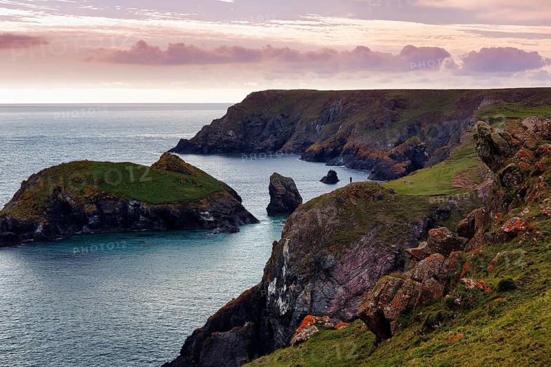 Rocky coast at Kynance Cove, evening sky, Mount's Bay, Lizard Peninsula, Cornwall, England, Great Britain