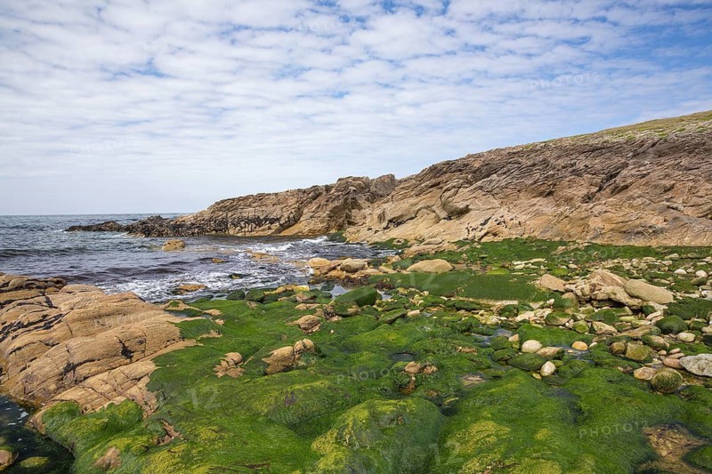 Rocky west coast of the Quiberon peninsula in Brittany, France, with a partly cloudy sky and algae covered rocks, Europe