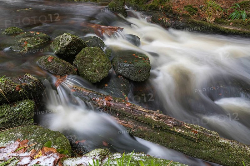 Kleine Ohe creek below Waldhaeuser village in the Bavarian Forest Nationalpark. Flowing water and fallen trees
