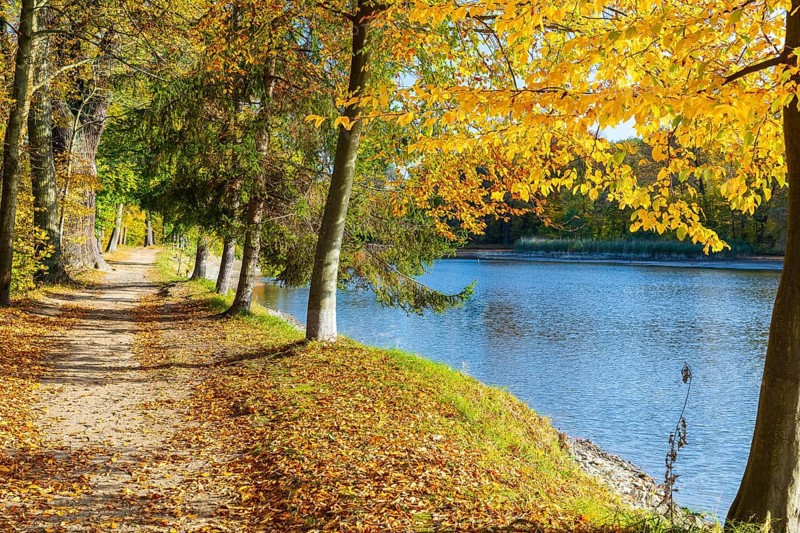 Path around the castle pond in autumn, castle park of Schloss Hermsdorf, Ottendorf-Ockrilla, Saxony, Germany, Europe