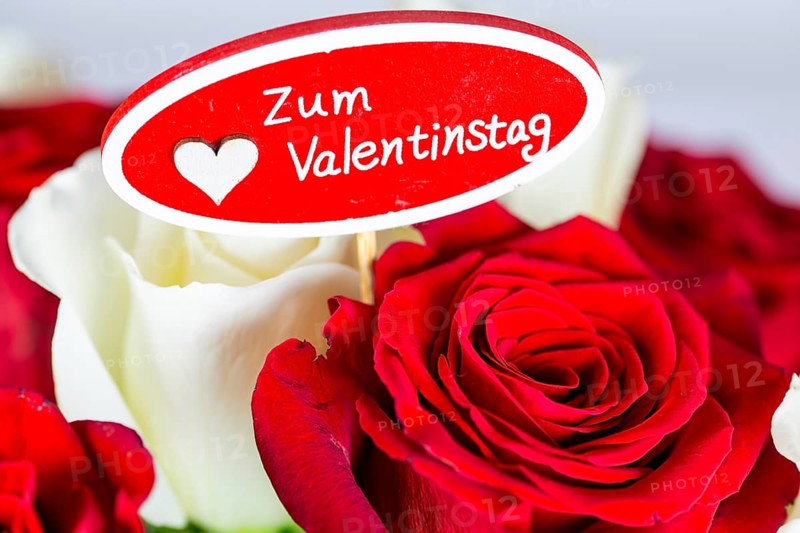 Valentine's greetings: Warm Valentine's Day greetings with a bouquet of white and red roses