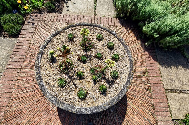 Rockery with Echeveria, view from above, rock garden, cottage garden, herb garden, Sissinghurst Castle and Garden, Cranbrook, Kent, England, Great Britain