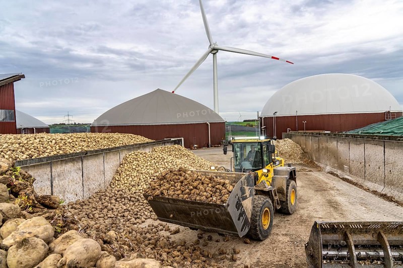 Biogas plant produces gas from various biomass, here the sugar beet storage, the electricity is produced in combined heat and power plants with the biogas produced and sold to companies in the neighbouring industrial estate, the heat generated is fed into a local heating network, gas storage and wind power plant, Ense, North Rhine-Westphalia, Germany, Europe