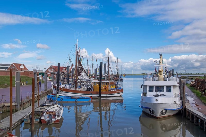Crab cutters and boats in the harbour of Ditzum, Rheiderland, East Frisia, Lower Saxony, Germany, Europe