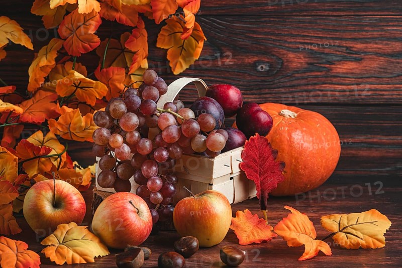 A basket of grapes and plums next to a pumpkin, apples, chestnuts and autumn leaves