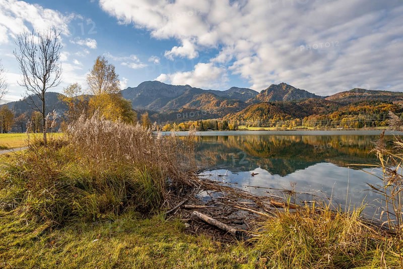 On the shore of Lake Lake Kochel with reflection, autumn landscape with mountain peaks Herzogstand and Heimgarten, Upper Bavaria, Bavaria, Germany, Europe