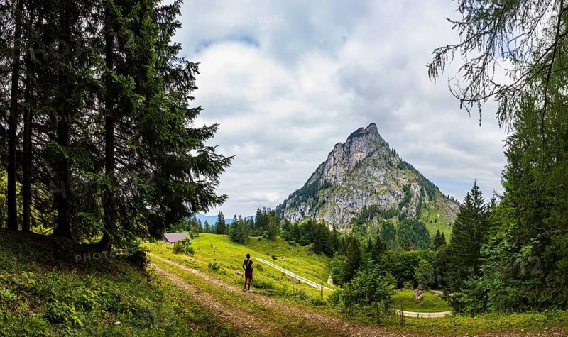 Hiker on the Schartenalm with a view of the Sparber, Osterhorn group, Salzkammergut, Salzburg province, Austria, Europe