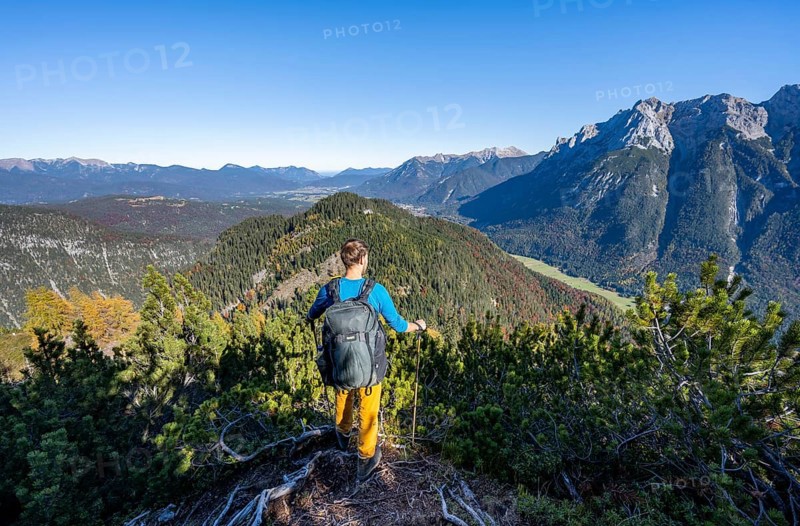 Mountaineer on a hiking trail between mountain pines, autumnal mountain landscape, ascent to the Große Arnspitze, view of the mountain peaks of the Karwendel, near Scharnitz, Bavaria, Germany, Europe