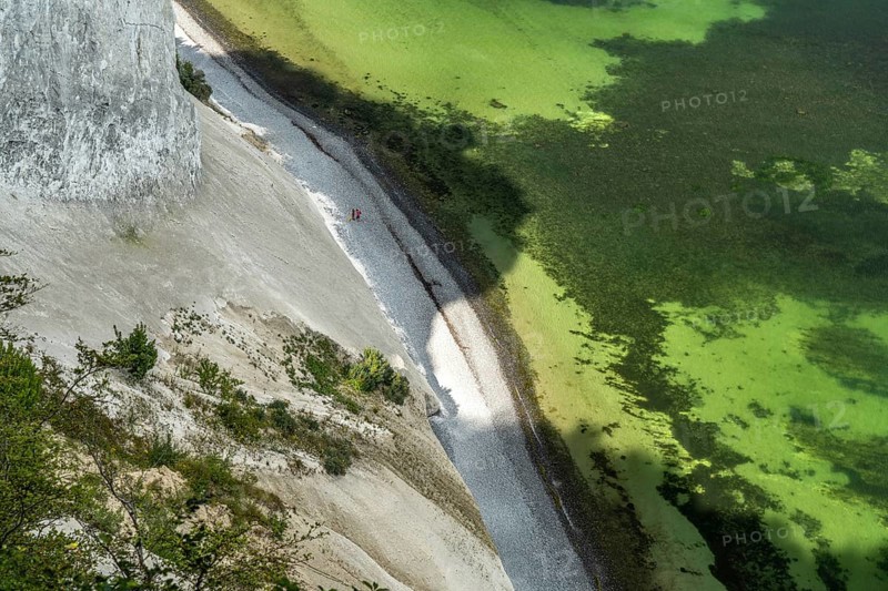 Cliffs and chalk cliffs Møns Klint, Mön Island, Denmark, Europe