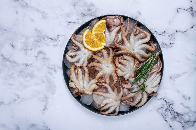 Fresh baby octopuses on ice, garnished with lemon and rosemary, on a marble table, no people