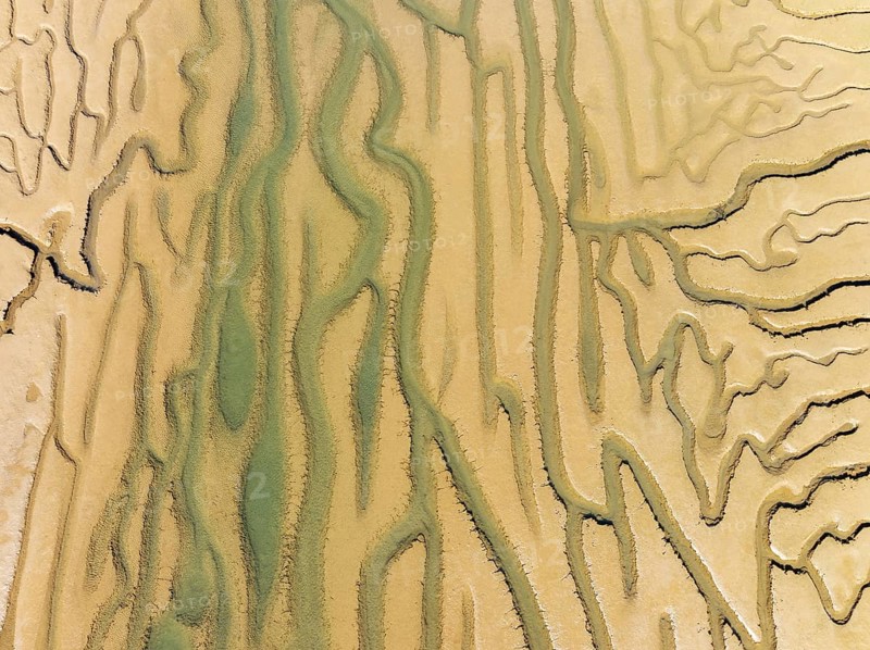 Network of channels and streams at low tide. In the marshland adjacent to the Odiel river. Aerial view. Drone shot. Huelva province, Andalusia, Spain, Europe