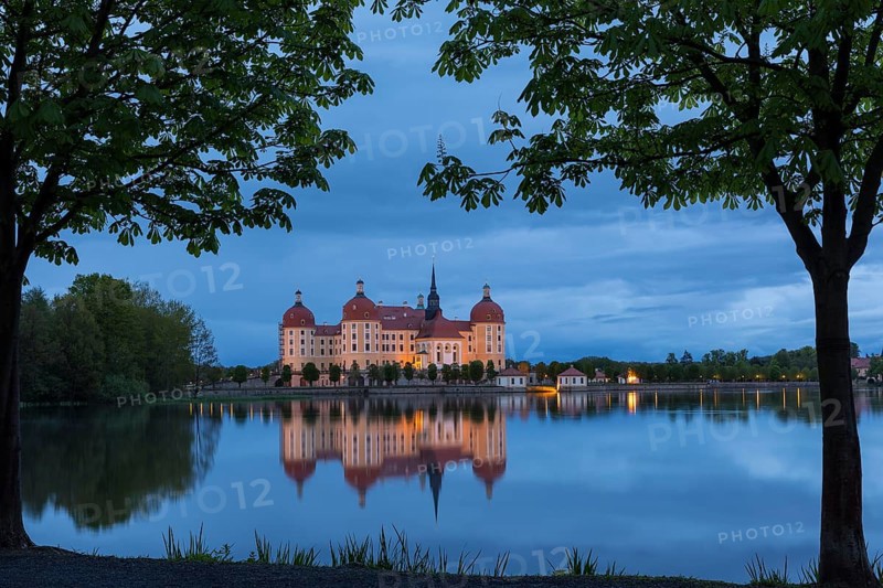 Moritzburg Hunting Lodge with reflection in the castle pond in the evening, Moritzburg, Saxony, Germany, Europe