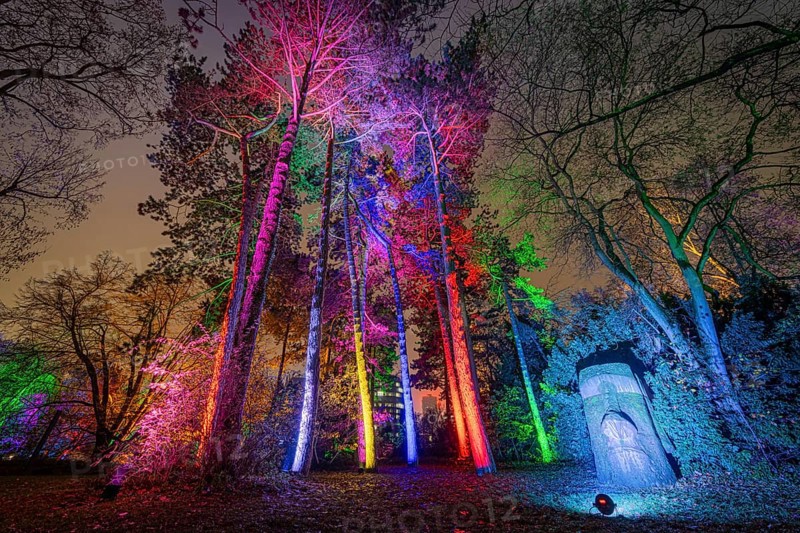 From 9 December 2023 to 14 January 2024, the Palmengarten in Frankfurt am Main will host the Winter Lights for the 11th time. A total of 25 light installations await visitors along a circular route, Palmengarten, Frankfurt am Main, Hesse, Germany, Europe