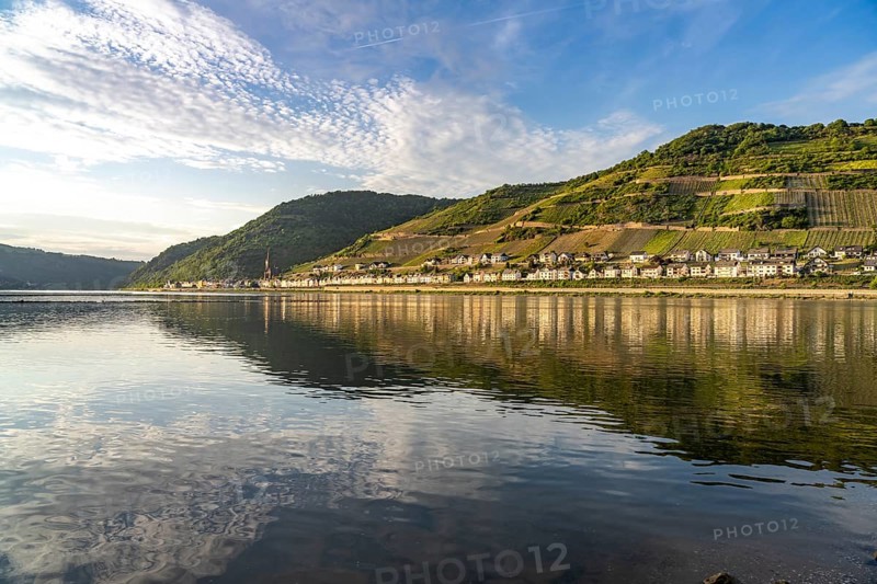 View over the Rhine to Lorch, Rheingau, World Heritage Site Upper Middle Rhine Valley, Hesse, Germany, Europe