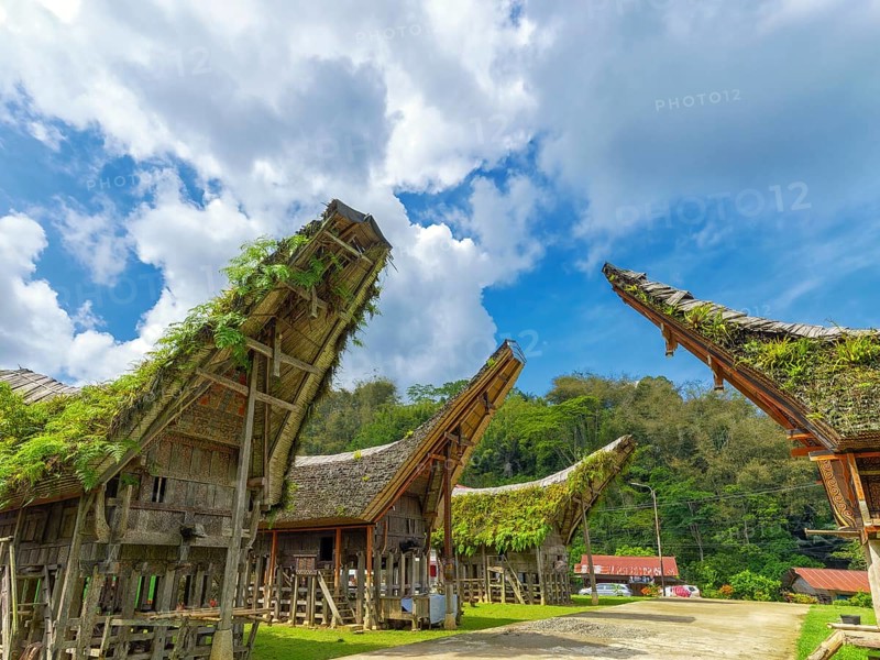 Old houses and pile dwellings with curved roofs, Tana Toraja, Rantepao, Sulawesi, Indonesia, Asia