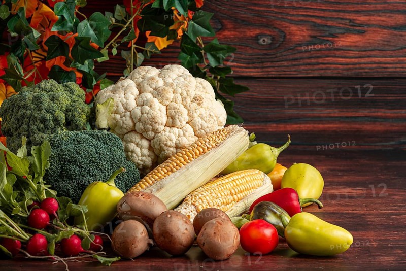 Fresh vegetables, colourful peppers, corn on the corn cob, cauliflower, broccoli, radishes and mushrooms