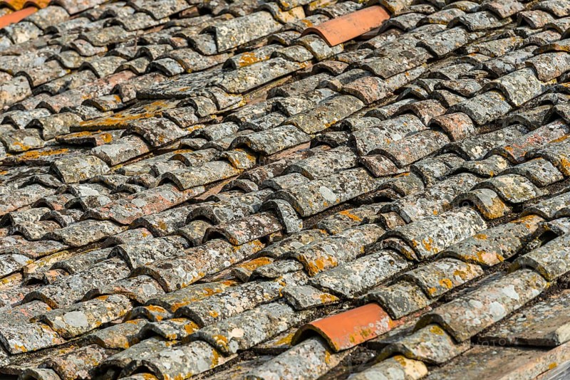 Old roof tiles, roof, old, moss, texture, background, graphic, building, dilapidated, surface, close up, Tuscany, Italy, Europe