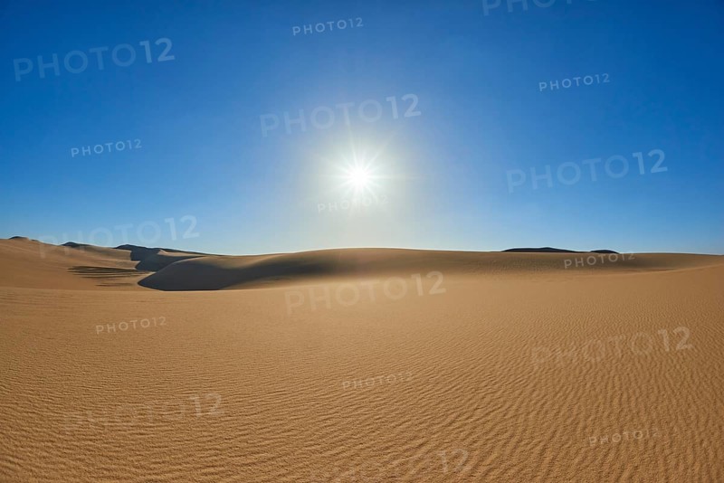 The endless expanse of a desert with golden sand dunes under a bright blue sky and the glistening sun, Matruh, Great Sand Sea, Libyan Desert, Sahara, Egypt, North Africa, Africa