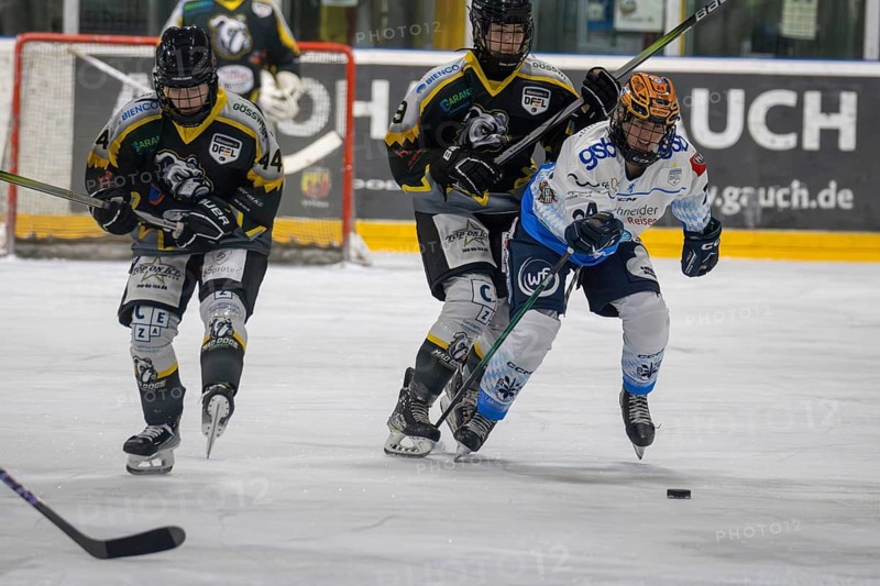 07.12.2024: German Women's Ice Hockey League, 2024/25 season: Mad Dogs Mannheim vs ERC Ingolstadt