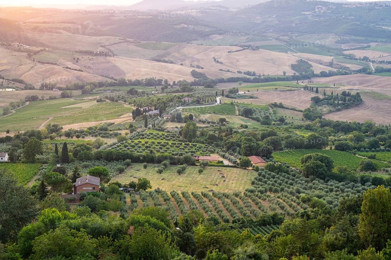View from Montepulciano into a typical Tuscan landscape in Val d'Orcia with hills, trees, fields, cypresses and farm houses in summer, Montepulciano, Tuscany, Italy, Europe