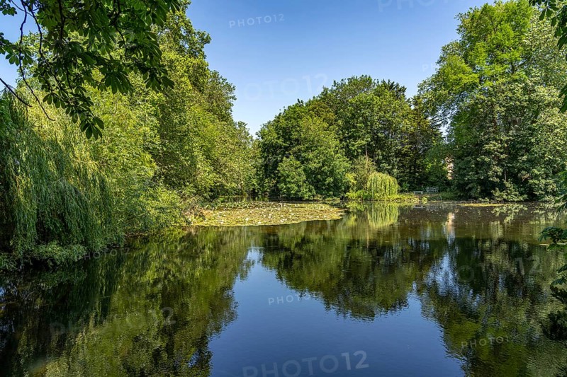 Pond in the park of Worcester College, University of Oxford, Oxfordshire, England, Great Britain