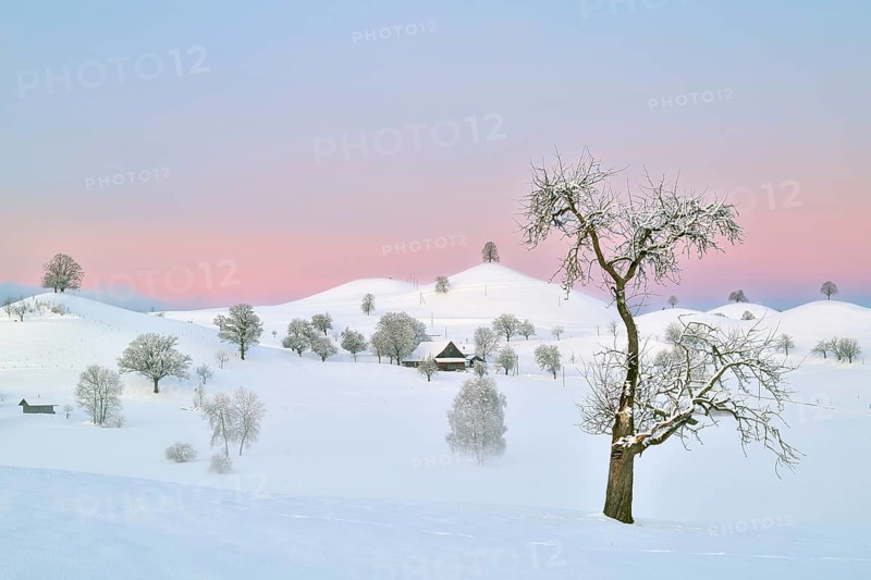 Snow-covered hilly landscape at dawn, Menzingen, Canton Zug, Switzerland, Europe