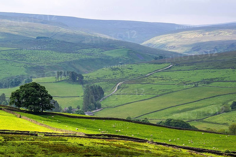 Farms over North Pennines, Cumbria, Durham, Northumberland, North Yorkshire, England, United Kingdom, Europe