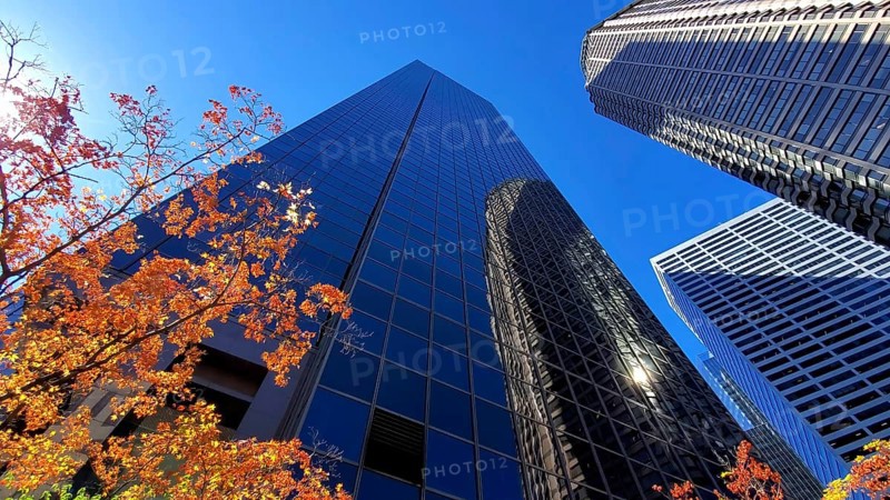 USA, Seattle financial and business district skyline in city downtown, North America