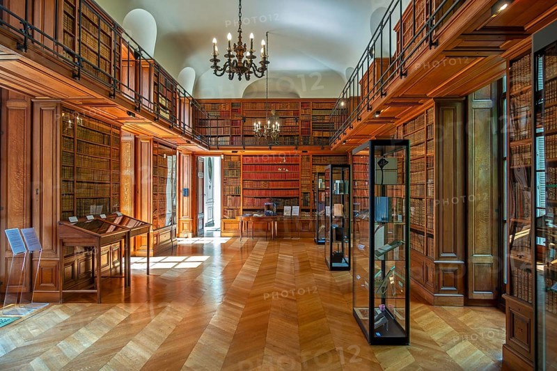 17th century library at Château de Bel?il, Baroque castle in Beloeil and residence of the princes of Ligne, province of Hainaut, Wallonia, Belgium, Europe