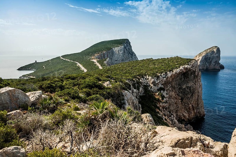 Coast with steep cliffs, Capo Caccia, near Alghero, Sardinia, Italy, Europe