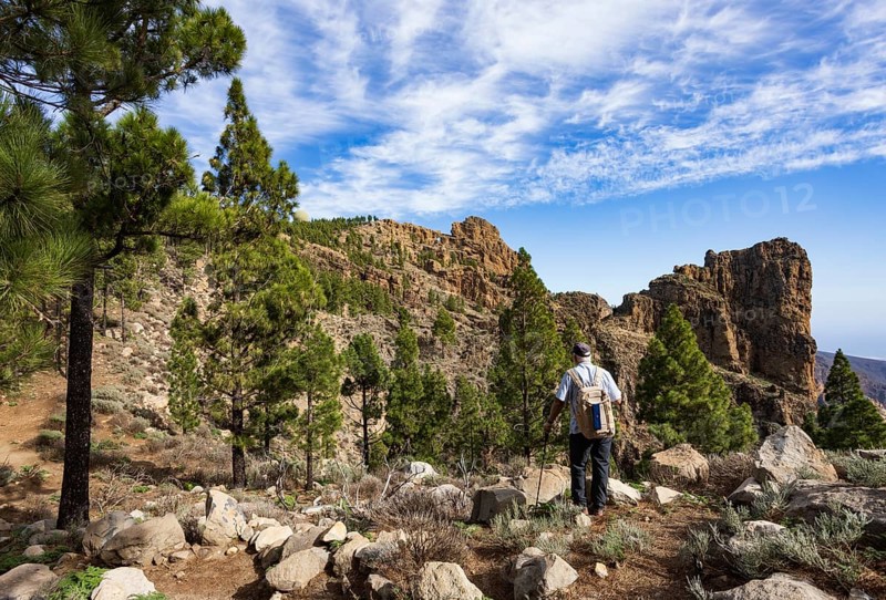 Hiker in the pine forest with view to the summit of Pico de las Nieves, Gran Canaria, Canary Islands, Spain, Europe