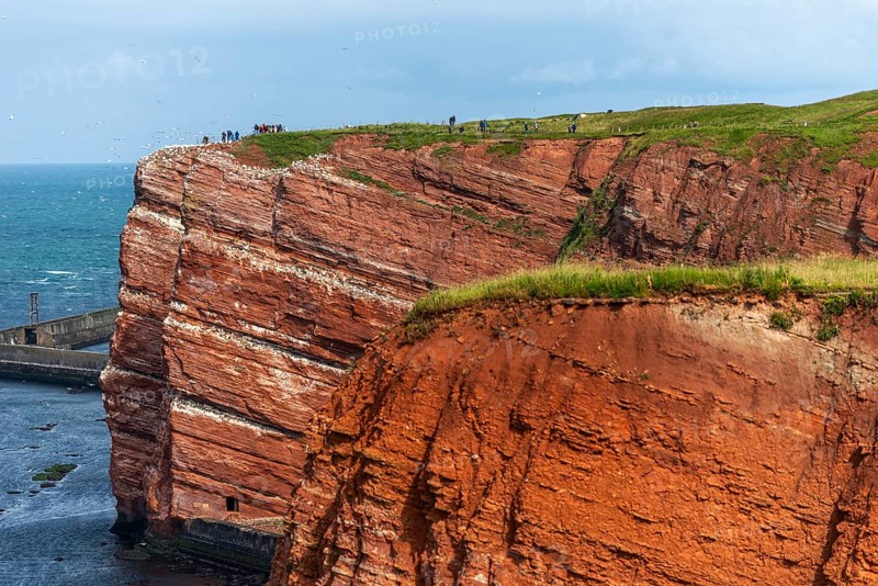 Red coloured sandstone, steep cliff coast of the high seas island of Heligoland, home of the gannets, Helgoländer Oberland, mole, North Sea, Pinneberg district, Schleswig-Holstein, Germany, Europe