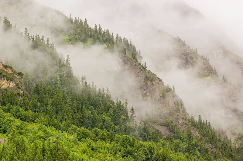 Wisps of mist cover the Karwendel mountains in the Großer Ahornboden nature reserve, Eng Valley, Tyrol, Austria, Europe
