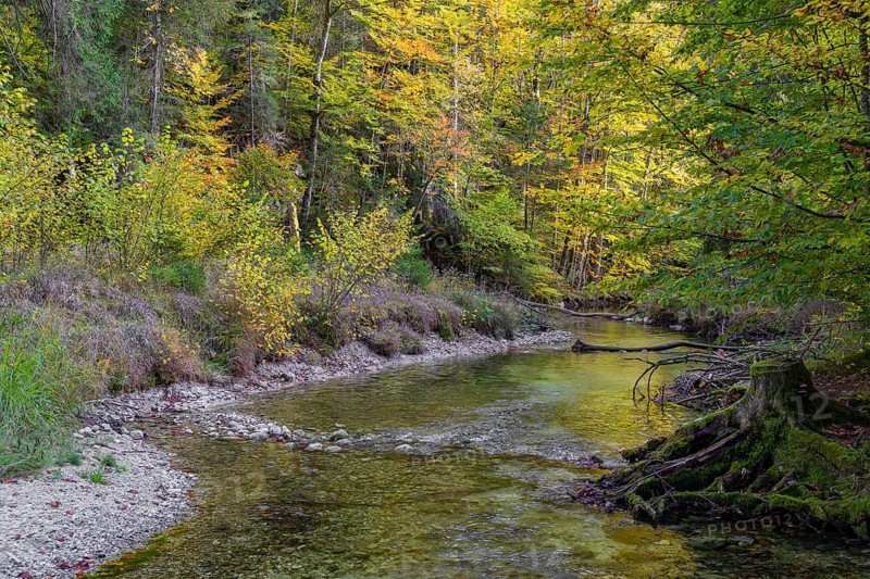 The Toplitz river begins at the western end of the Lake Toplitzsee as its only outflow. Its path leads through a wooded valley past the village of Gößl. After 1.6 kilometers, it flows into the Lake Grundlsee