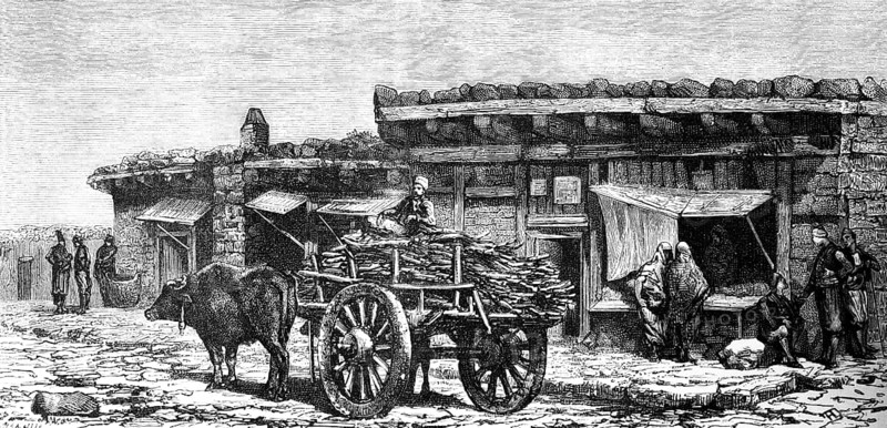 Village life in a small Asian village, Anatolia, ox team, timber transport, wooden houses, street scene, shop, trader, trade, people, travelling in Asia, Turkey, historical illustration 1887, Asia