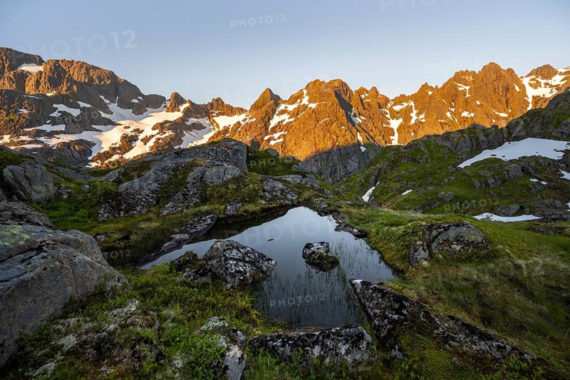 Rocky mountain peaks with reflection, small pond in moor landscape at Trollfjord Hytta, mountain landscape with alpenglow at sunrise, at Trollfjord, Lofoten and Vesterålen, Nordland, Norway, Europe