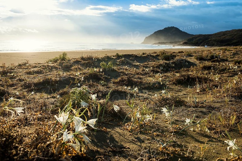 Lonely beach, Spiaggia Feraxi, sunrise, Capo Ferrato, Muravera, Province of Cagliari, Sardinia, Italy, Europe