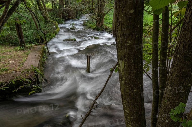 Rapids of the Trubach, Trubach Valley, Egloffstein, Upper Franconia, Bavaria, Germany, Europe