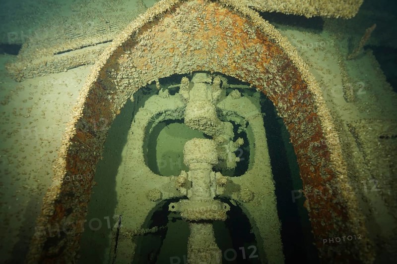Rusty machine structure of a ship with mussels, quagga triangle mussel (Dreissena rostriformis bugensis), invasive species, shipwrecks under water, dive site wreck of the Jura, Lake Constance, Bottighofen, Switzerland, Münsterlingen, Germany, Europe