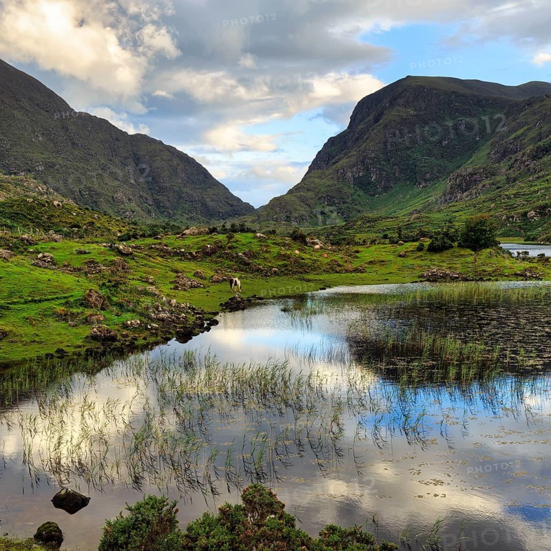 Lakeshore at dusk, Gap of Dunloe mountain pass, Killarney, Ring of Kerry scenic road, Iveragh Peninsula, County Kerry, Ireland, Europe