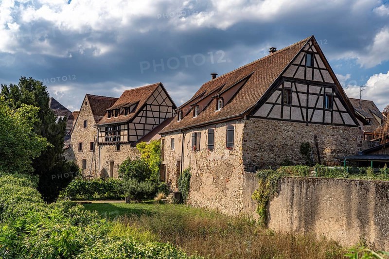 Half-timbered houses on the town wall in Bergheim, Alsace, France, Europe