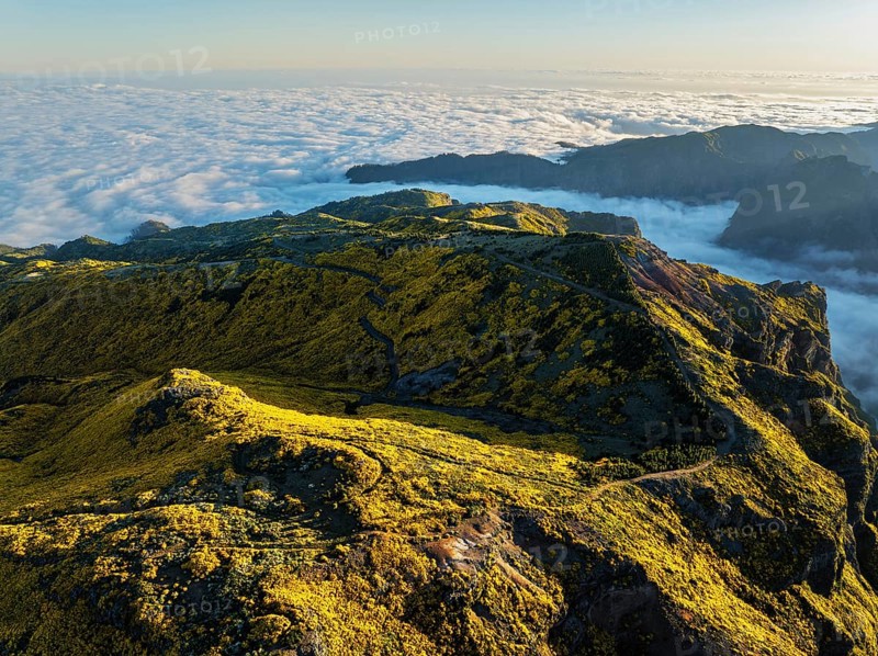 Aerial view at Pico do Arieiro of mountains over clouds with blooming Cytisus shrubs on sunset with sunburst. Madeira island, Portugal, Europe