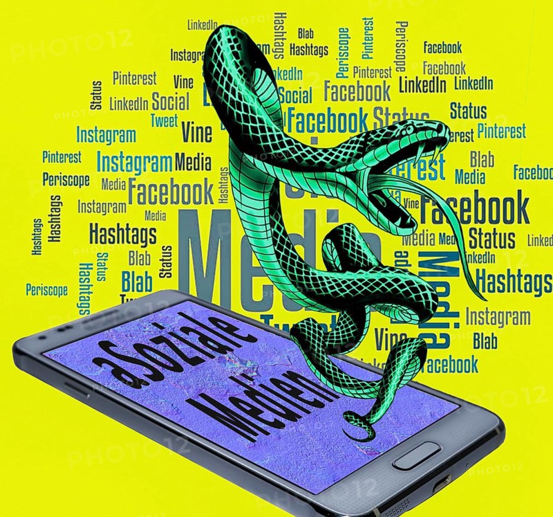 Symbolic image, poisonous snake as (a) Social media, mobile phone, smartphone, socialmedia, Elon Musk, Mark Zuckerberg, Donald Trump, extreme freedom of expression, denial of facts, Industry 4.0, data traffic, @ sign. Mail traffic, AI, ChatGBT, AI, OpenAI, chatbot, artificial intelligence, artificial intelligence, IT system, computer science, AI learning, IT technology, computer system, software, Apple, Google, Microsoft, creativity, questionable security, AI research, voice robots, algorithm