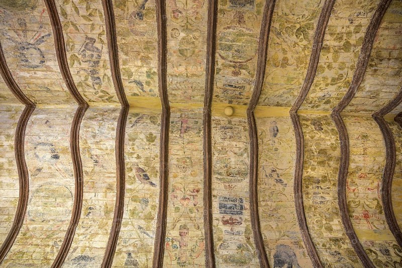 Ceiling fresco on a wooden ceiling in the Toulouse-Lautrec Museum in the Palais de la Berbie, Albi, Département Tarn, France, Europe