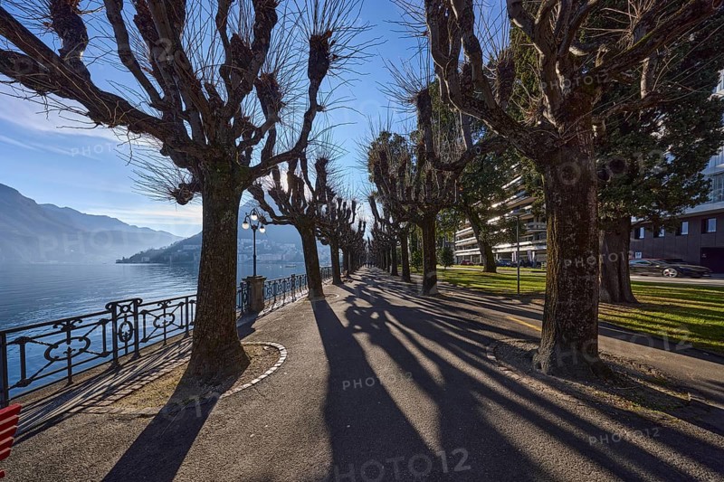 Lakeside promenade, lake, railings, trees, shadow, hill, mist, fog, backlight, blue sky, Lake Lugano, Riva Antonio Caccia road, Lugano, Lugano district, Canton Ticino, Switzerland, Europe