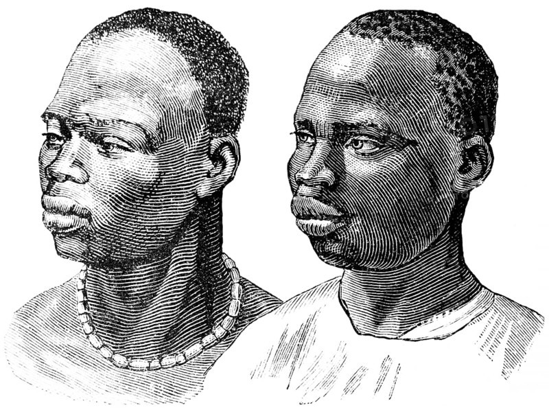 Portrait of an Ashanti and Kanuro man, Ashanti live in West Africa, mainly in Ghana, the Kanuri people live mainly in the Sahel zone, travelling, historical illustration 1886